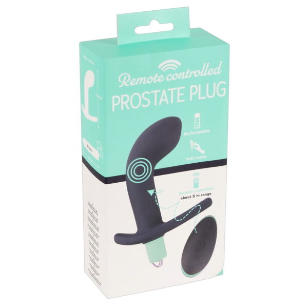 You2Toys Prostata Anal Plug med Fjernbetjening og VibratorTurkis / Sort