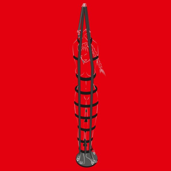 Bad Kitty Hanging Strap Cage - Bondage Bur - Image 11