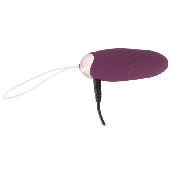 Javida Shaking Love Ball Vibrator Æg og Bækkenbundskugle - Image 6