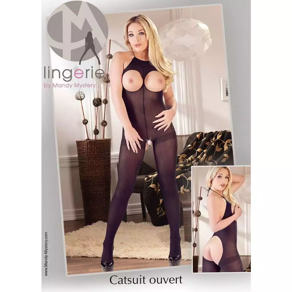 Nylon Catsuit med Fri Bryster & BagdelOnesize (S-L)