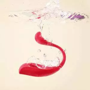 Svakom Phoenix Neo 2 Par Vibrator med App Styring