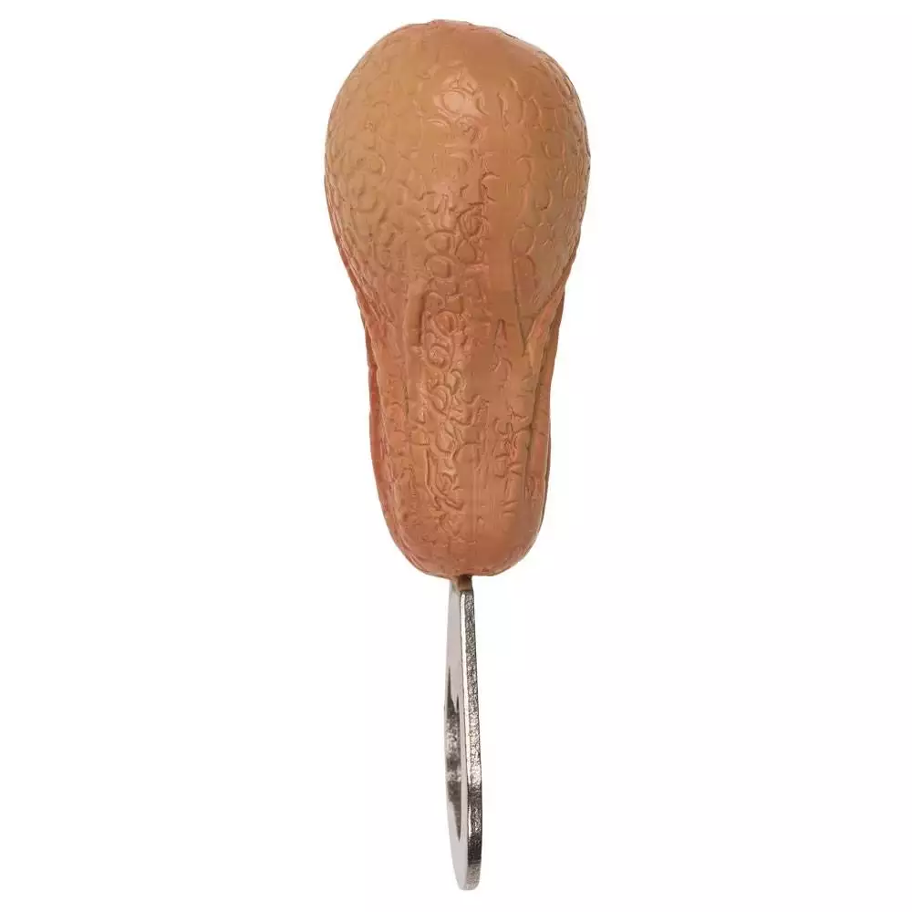 Oplukker Flaskeåbner Testikel - Billede 3